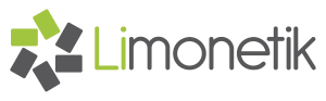 logo-limonetik-OFFICIAL13