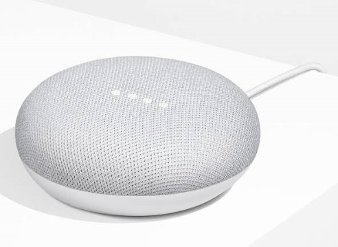 Home Mini