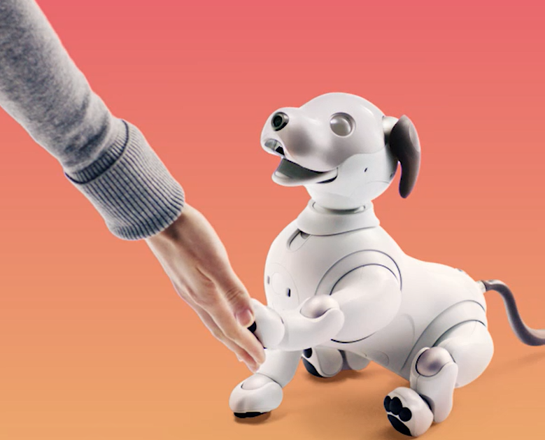 Aibo