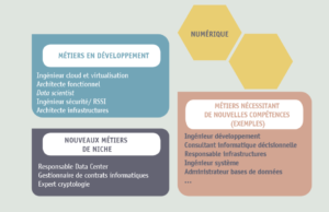 Nouveaux métiers et compétences liés au numériqu