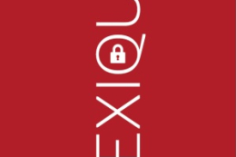 Le « cyber lexique »