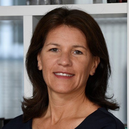 Laurence Lafont, VP ventes Industries EMEA Google