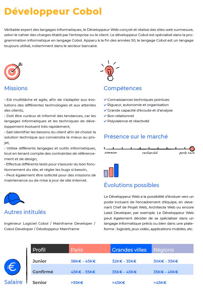 Exemple de fiche de poste développeur Cobol. Source: baromètre des salaires et métiers de l'IT & du Digital 2024