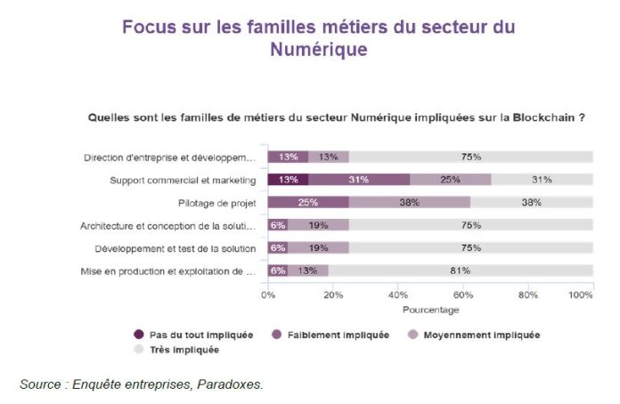Source: étude sur les besoins en compétences, emploi et formation de la blockchain en France, OPIIEC, 2023.