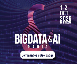 BDAIP_Banner-300x250_FR