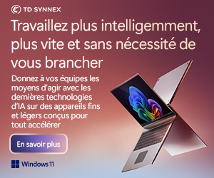 SOLUTIONS-NUMERIQUES_MS-WINDOWS-S12_CopilotPC1_300x250