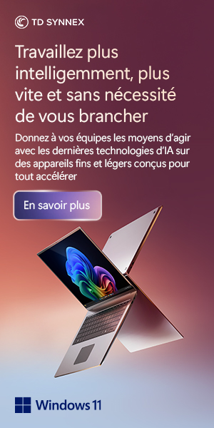 SOLUTIONS-NUMERIQUES_MS-WINDOWS-S12_CopilotPC1_300x600