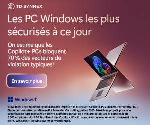 SOLUTIONS-NUMERIQUES_MS-WINDOWS-S12_CopilotPC2_300x250