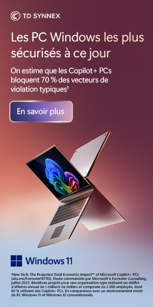 SOLUTIONS-NUMERIQUES_MS-WINDOWS-S12_CopilotPC2_300x600