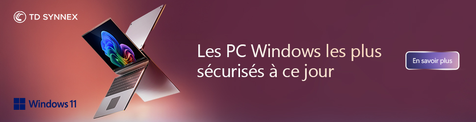 SOLUTIONS-NUMERIQUES_MS-WINDOWS-S12_CopilotPC2_970x250