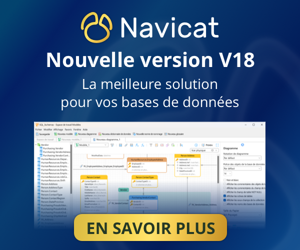 FR Navicat V18 banner_300 x 250@2x