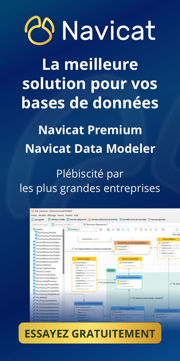 FR Navicat V18 banner_300x600@2x